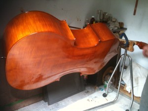 New Bass by Neville Whitehead